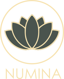 Numina